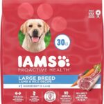 IAMS